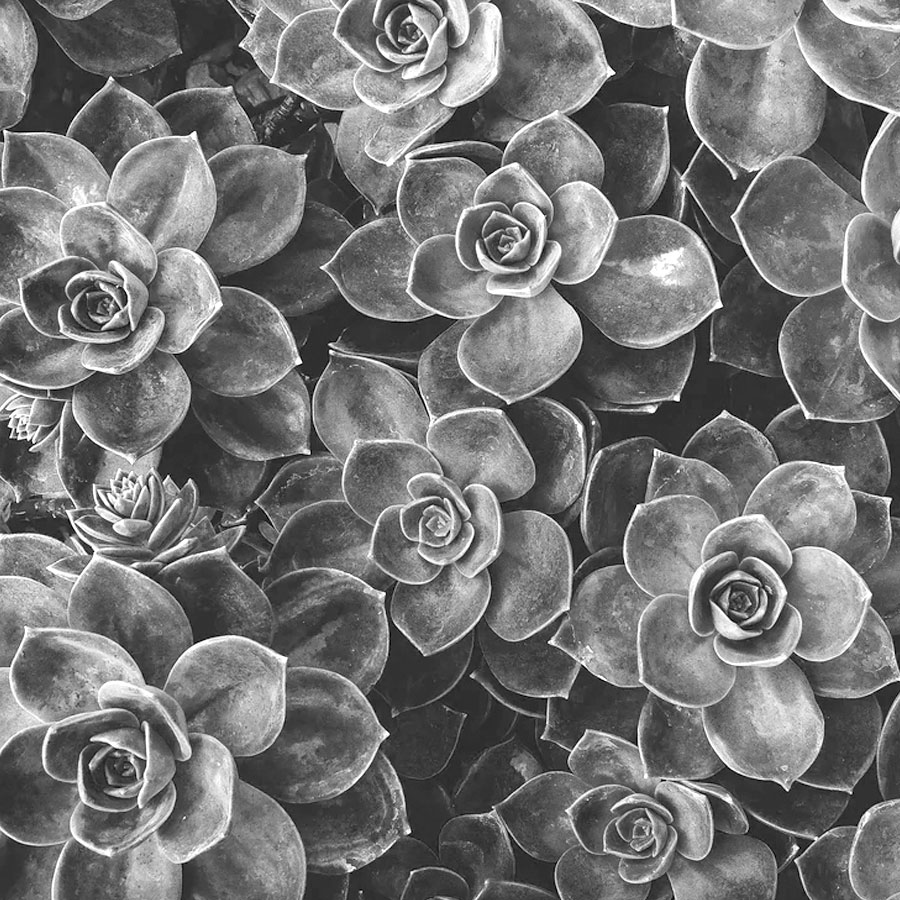 Going solar-system-place holder